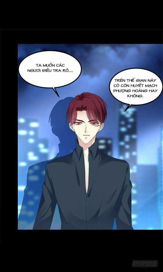 Dụ Hoặc Miêu Yêu Chapter 203 trang 16