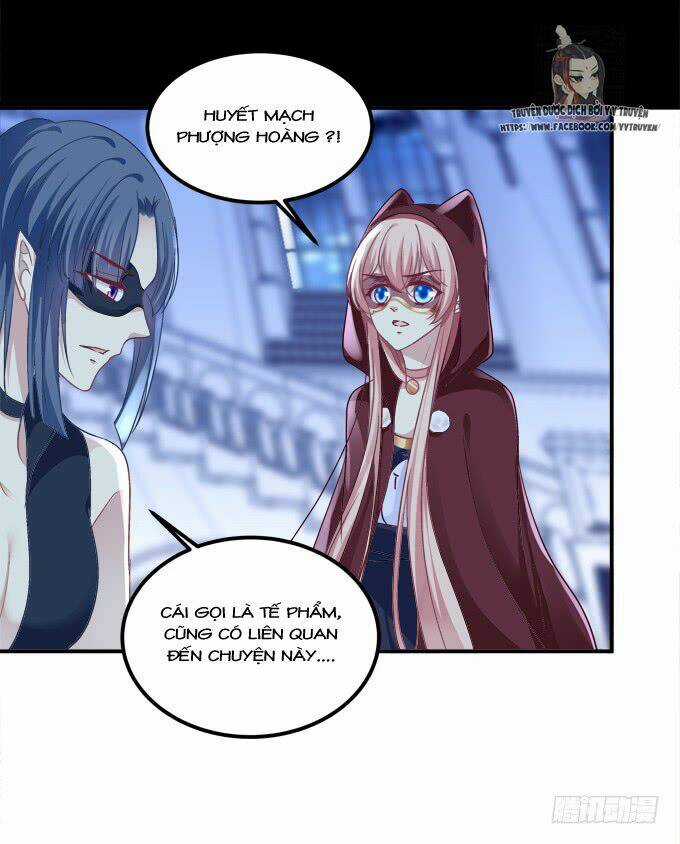 Dụ Hoặc Miêu Yêu Chapter 203 trang 17