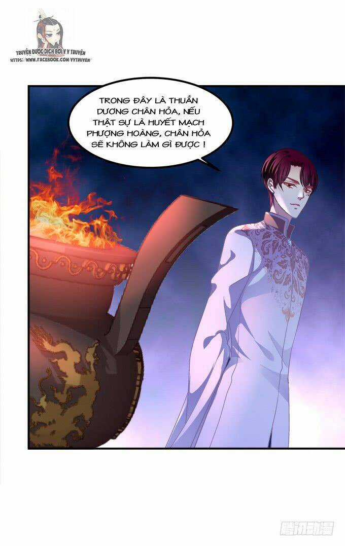 Dụ Hoặc Miêu Yêu Chapter 203 trang 25