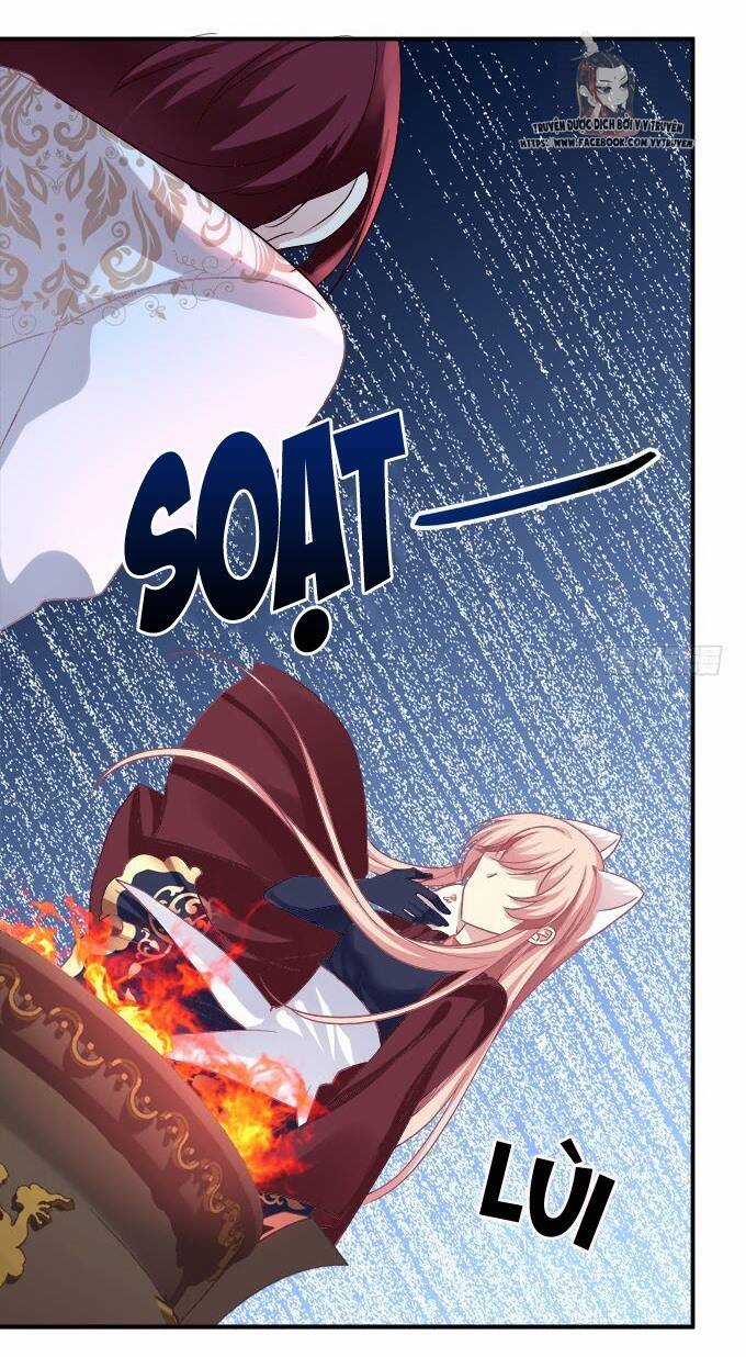 Dụ Hoặc Miêu Yêu Chapter 205 trang 11