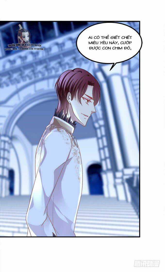 Dụ Hoặc Miêu Yêu Chapter 205 trang 36