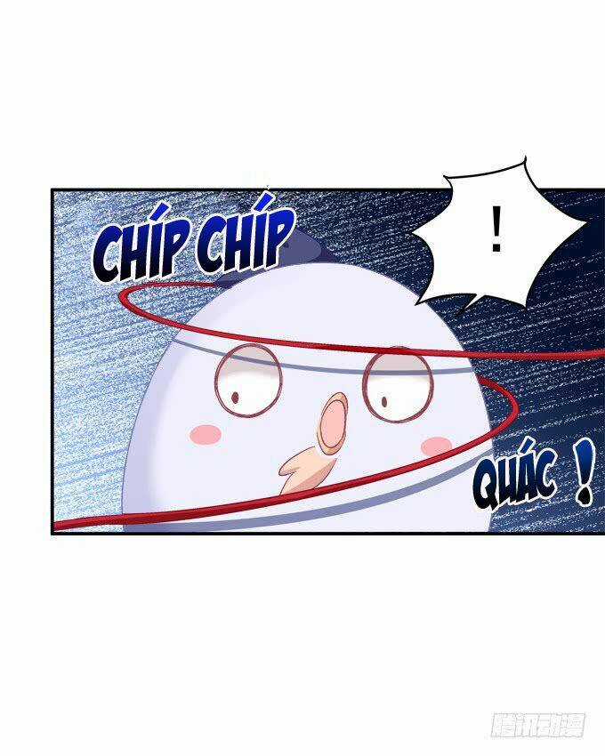 Dụ Hoặc Miêu Yêu Chapter 206 trang 17