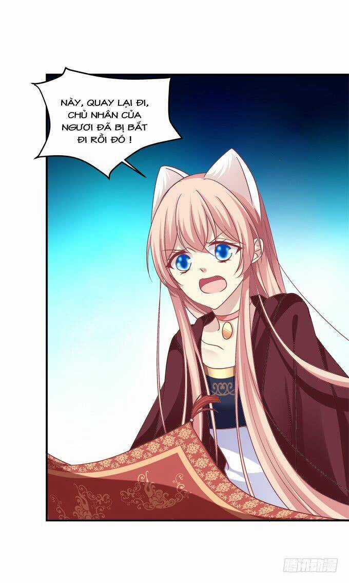 Dụ Hoặc Miêu Yêu Chapter 206 trang 23