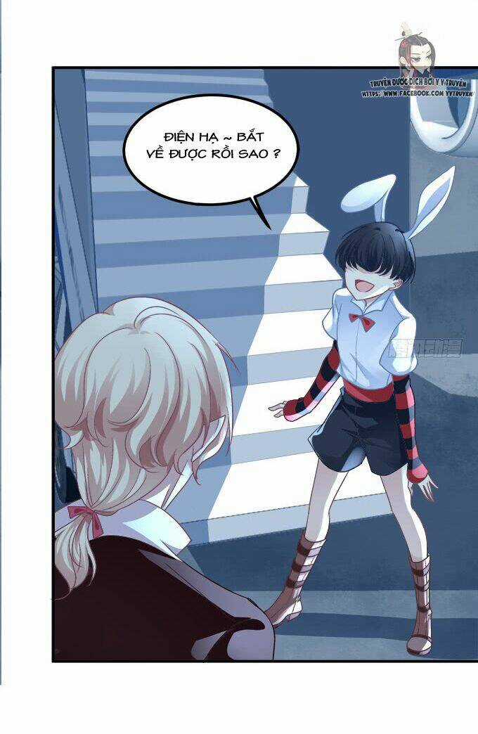 Dụ Hoặc Miêu Yêu Chapter 206 trang 28