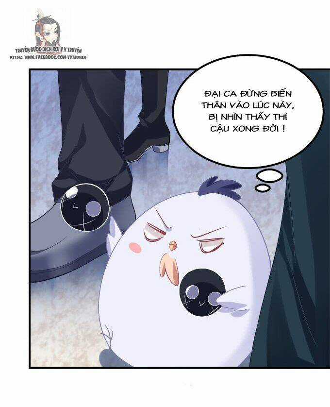 Dụ Hoặc Miêu Yêu Chapter 206 trang 3