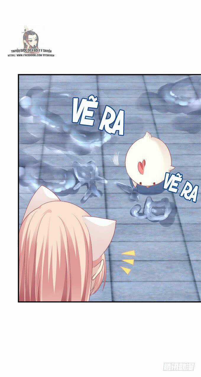 Dụ Hoặc Miêu Yêu Chapter 208 trang 21