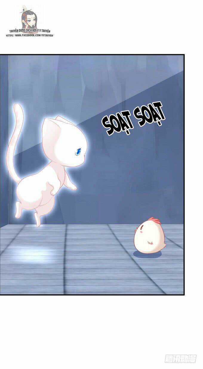 Dụ Hoặc Miêu Yêu Chapter 208 trang 25