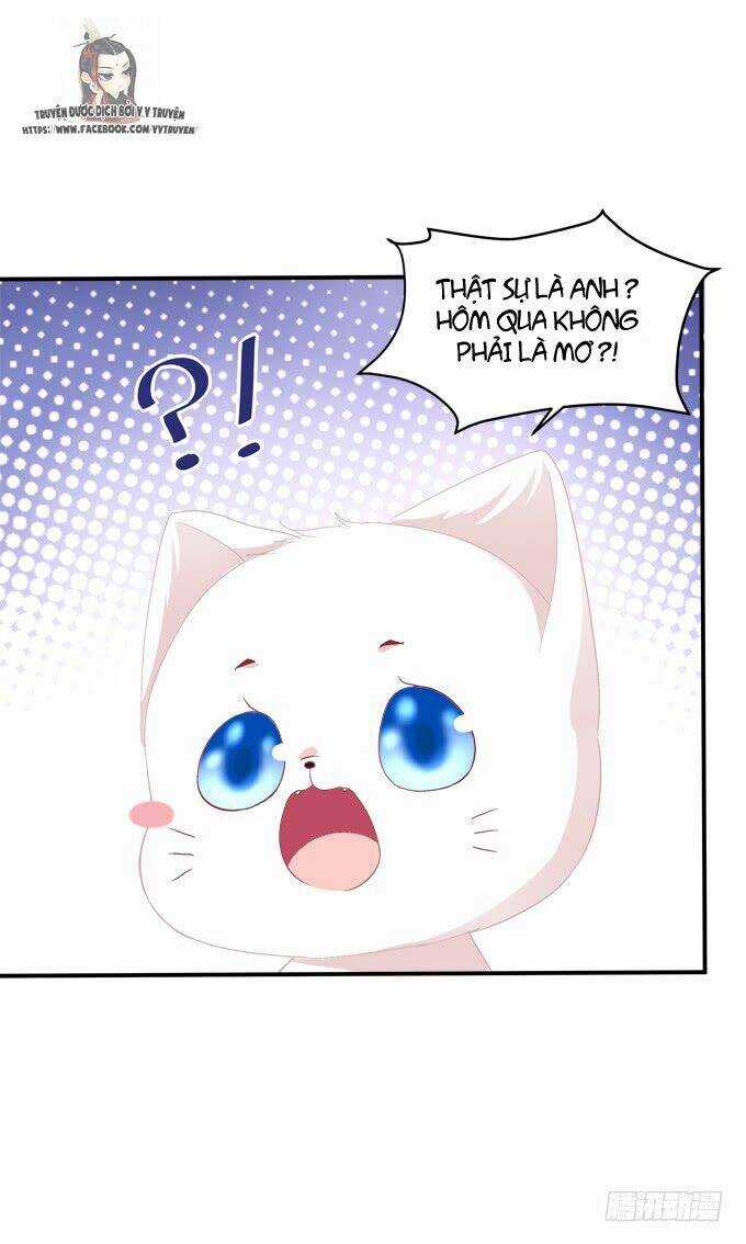 Dụ Hoặc Miêu Yêu Chapter 208 trang 27