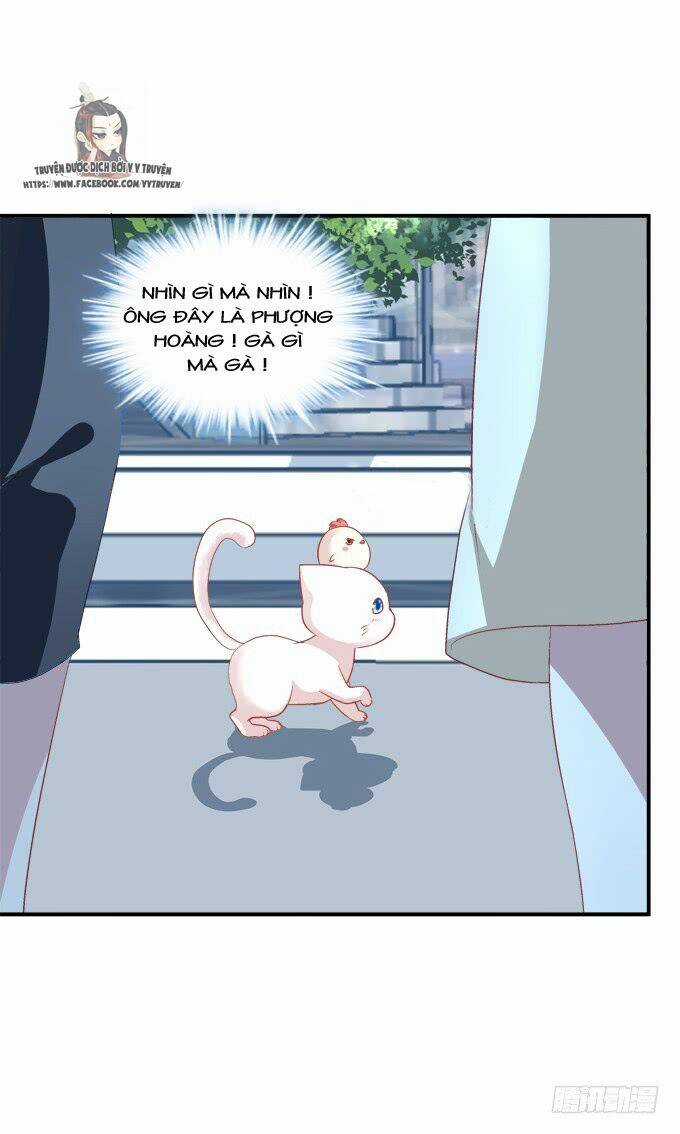 Dụ Hoặc Miêu Yêu Chapter 208 trang 32