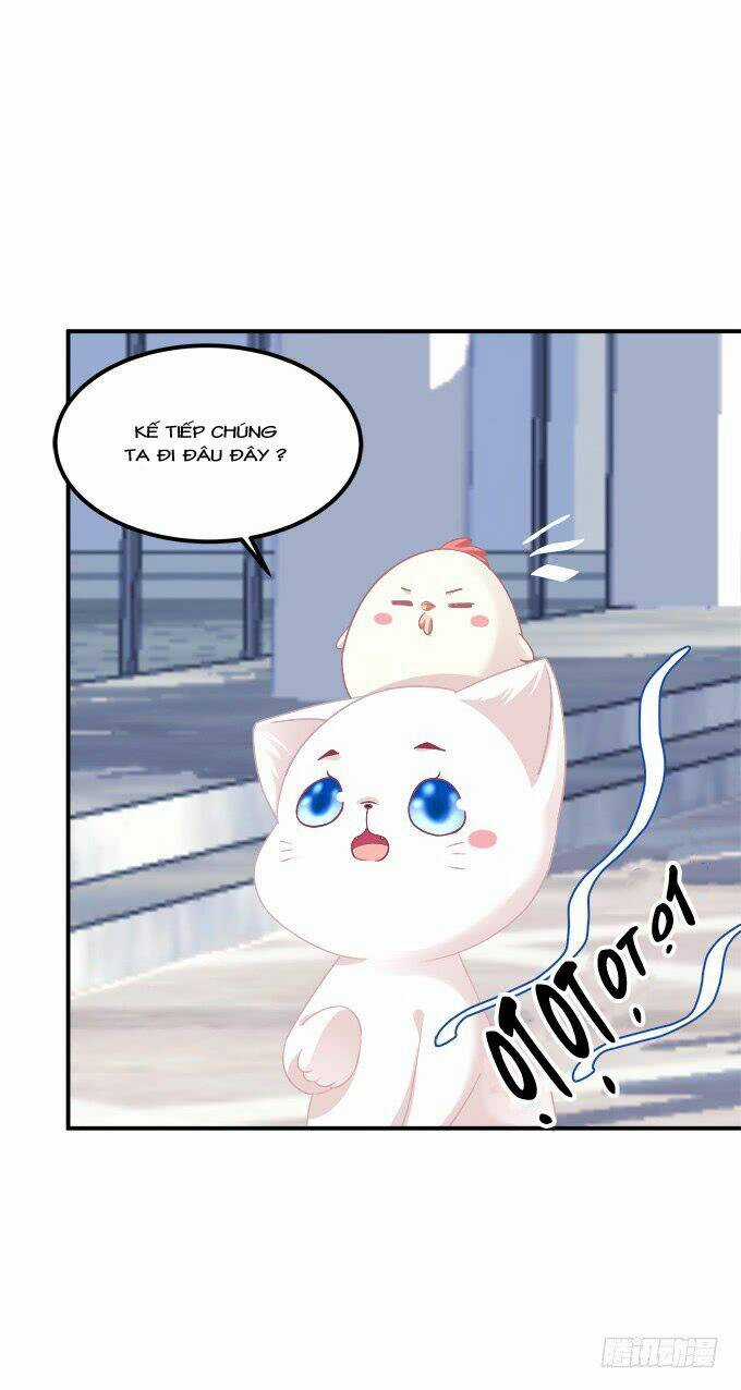 Dụ Hoặc Miêu Yêu Chapter 208 trang 35