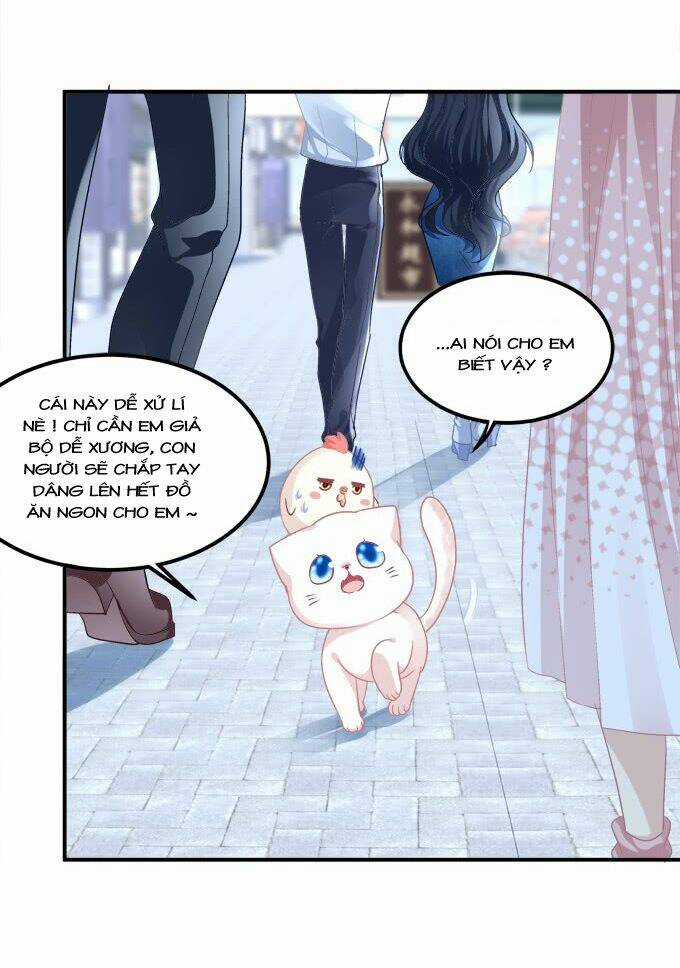 Dụ Hoặc Miêu Yêu Chapter 208 trang 37