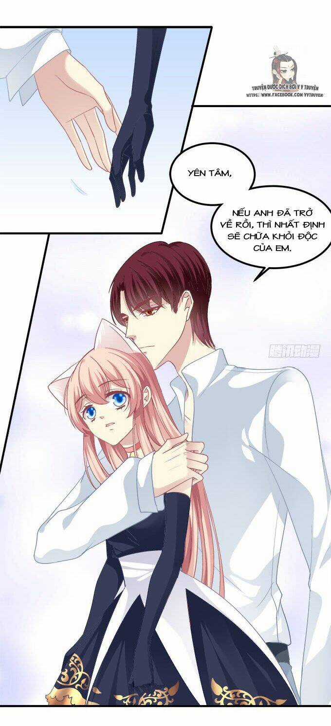 Dụ Hoặc Miêu Yêu Chapter 209 trang 35