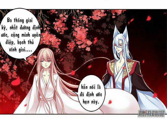 Dụ Hoặc Miêu Yêu Chapter 4 trang 14