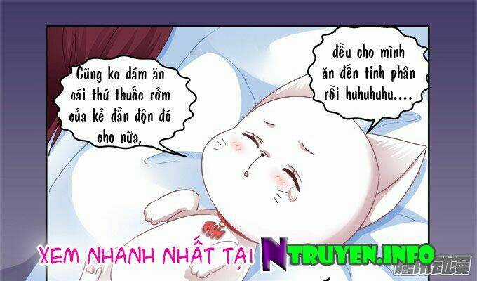 Dụ Hoặc Miêu Yêu Chapter 4 trang 27