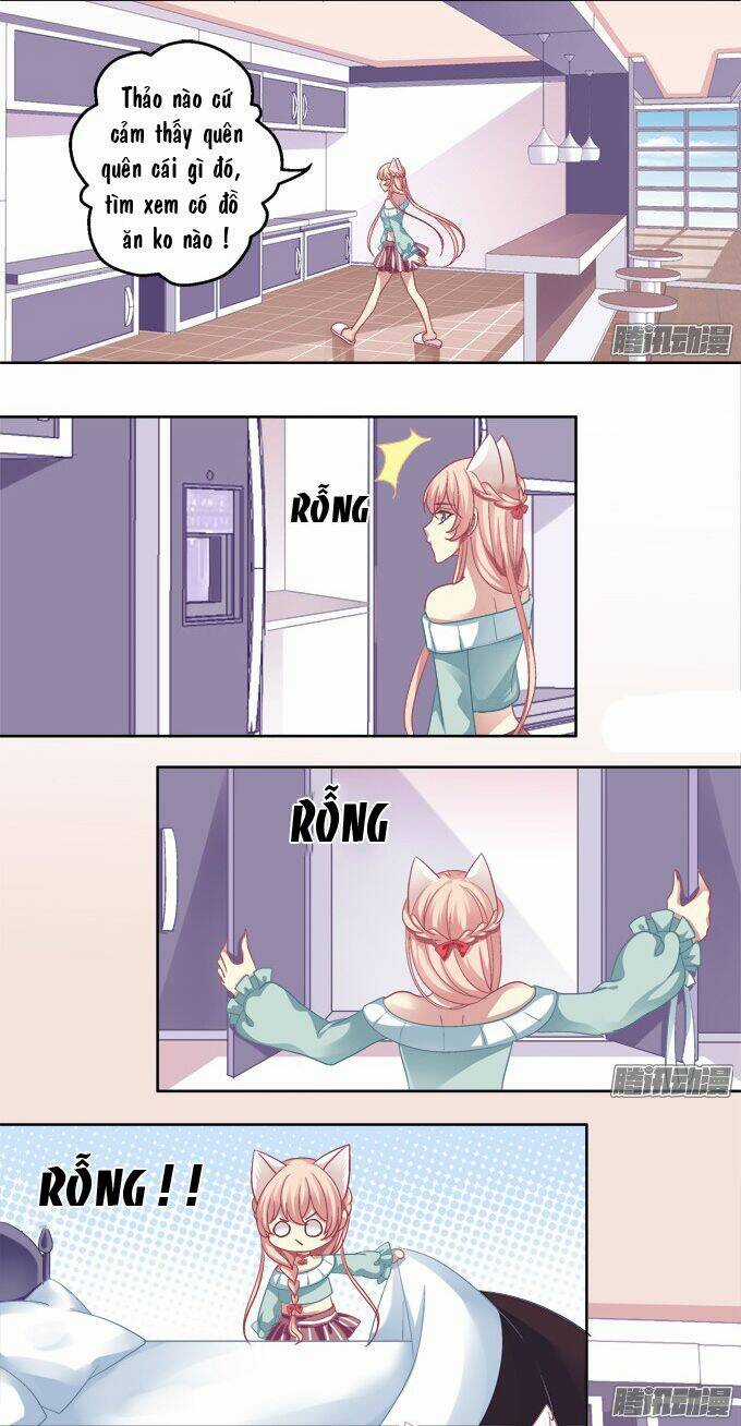 Dụ Hoặc Miêu Yêu Chapter 5 trang 15