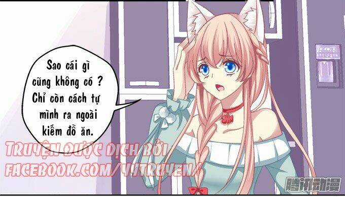 Dụ Hoặc Miêu Yêu Chapter 5 trang 16