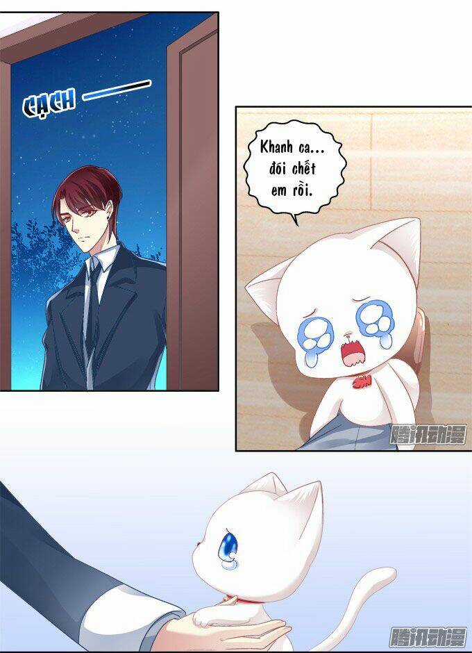 Dụ Hoặc Miêu Yêu Chapter 6 trang 11