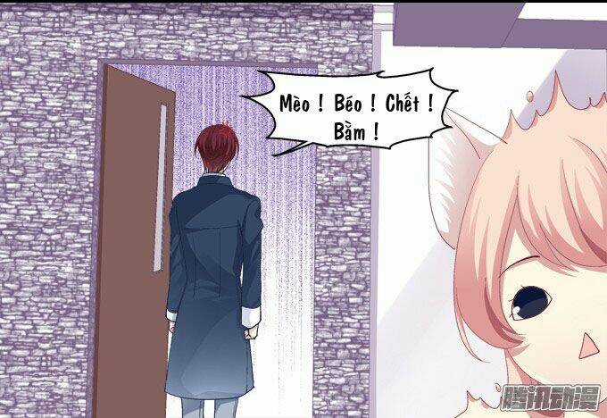 Dụ Hoặc Miêu Yêu Chapter 6 trang 20