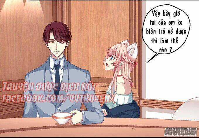 Dụ Hoặc Miêu Yêu Chapter 7 trang 14