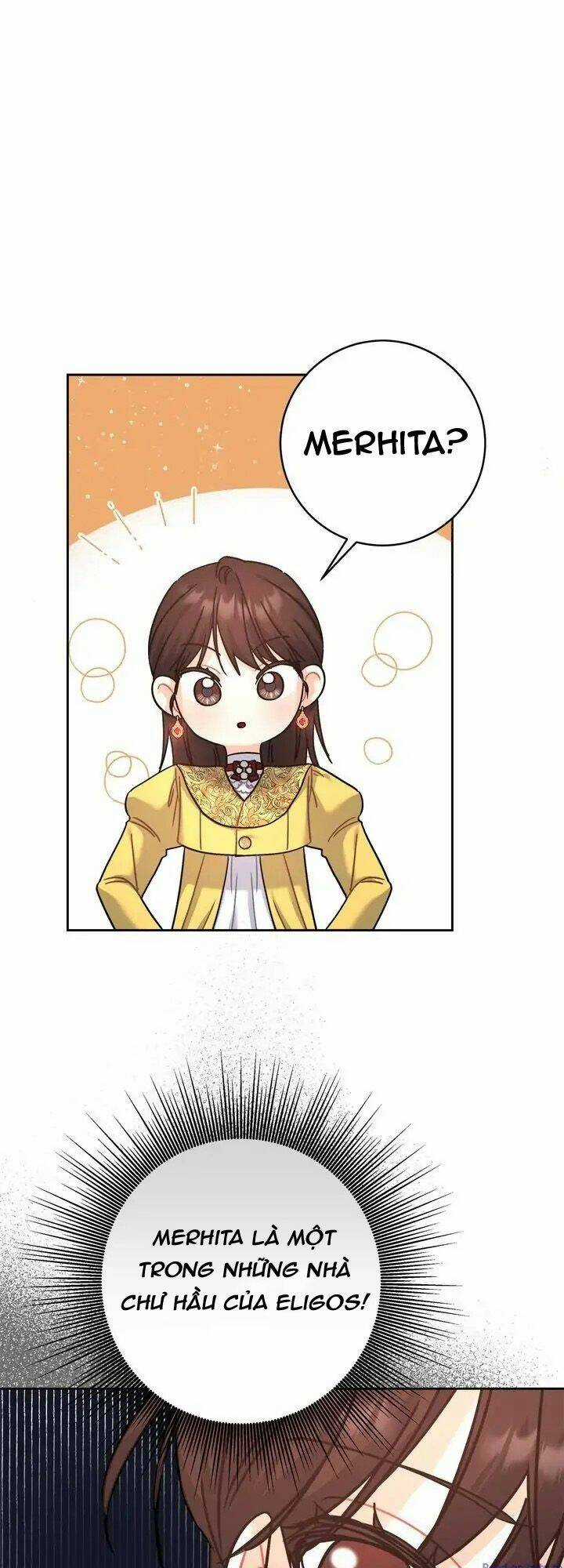 Du Khách Vào Ban Đêm Bí Ẩn Chapter 6 trang 23