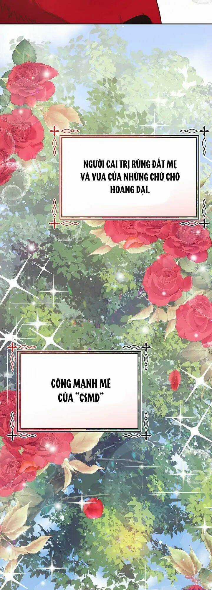 Du Khách Vào Ban Đêm Bí Ẩn Chapter 7 trang 49