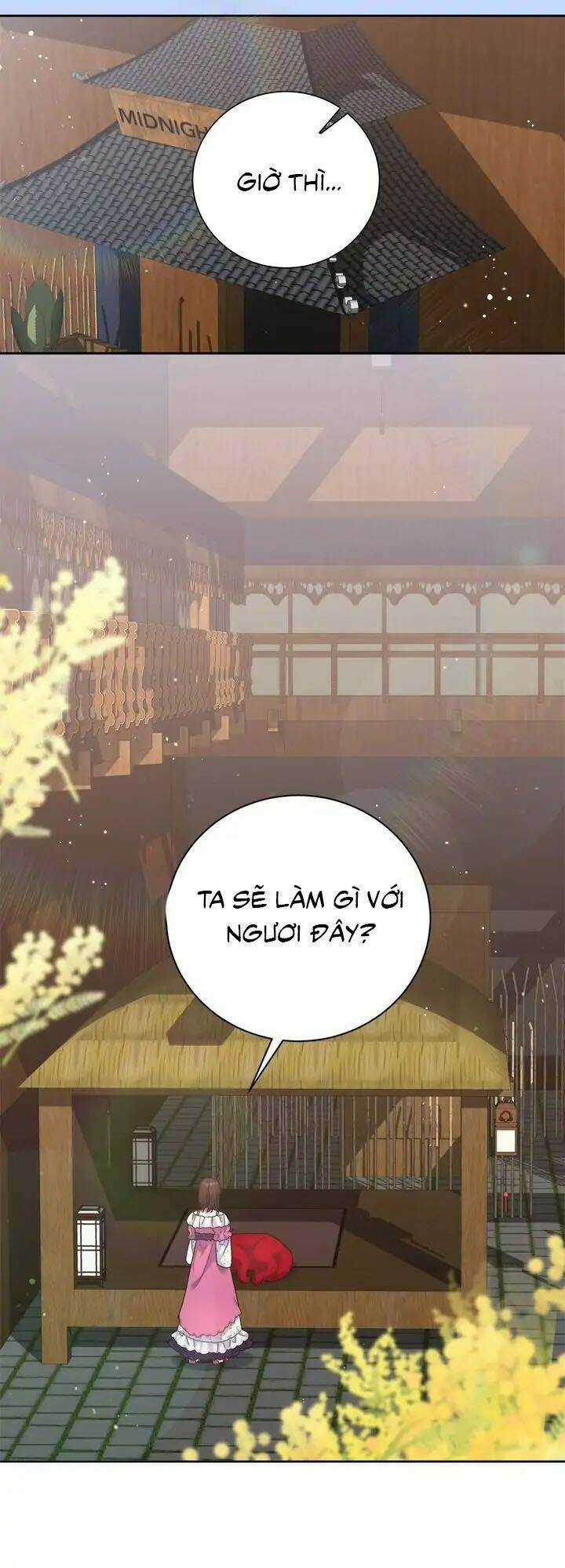 Du Khách Vào Ban Đêm Bí Ẩn Chapter 8 trang 19