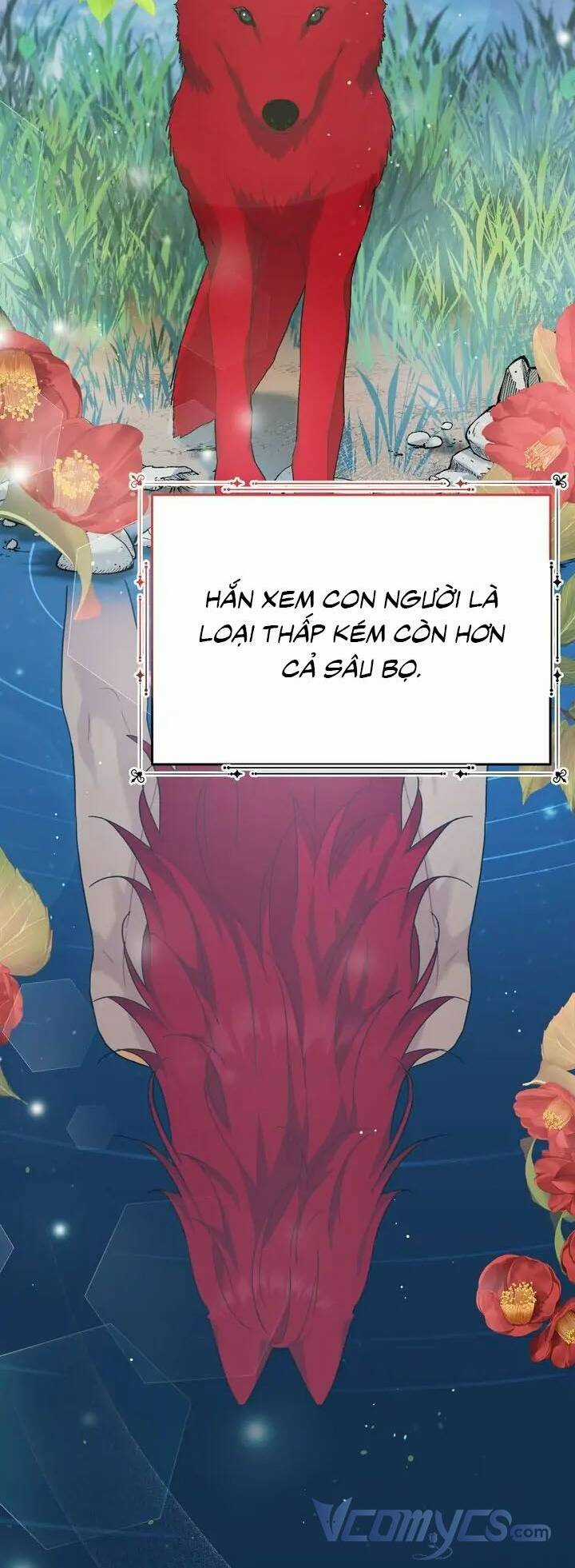 Du Khách Vào Ban Đêm Bí Ẩn Chapter 8 trang 2