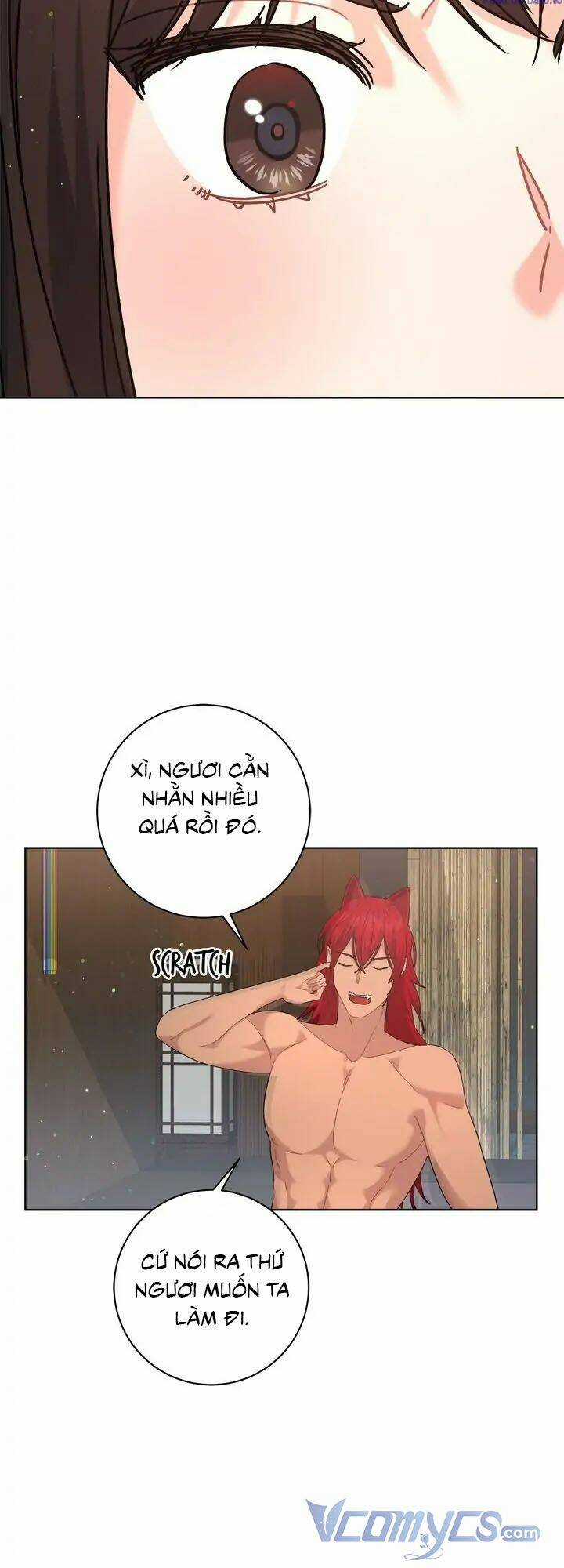 Du Khách Vào Ban Đêm Bí Ẩn Chapter 9 trang 15