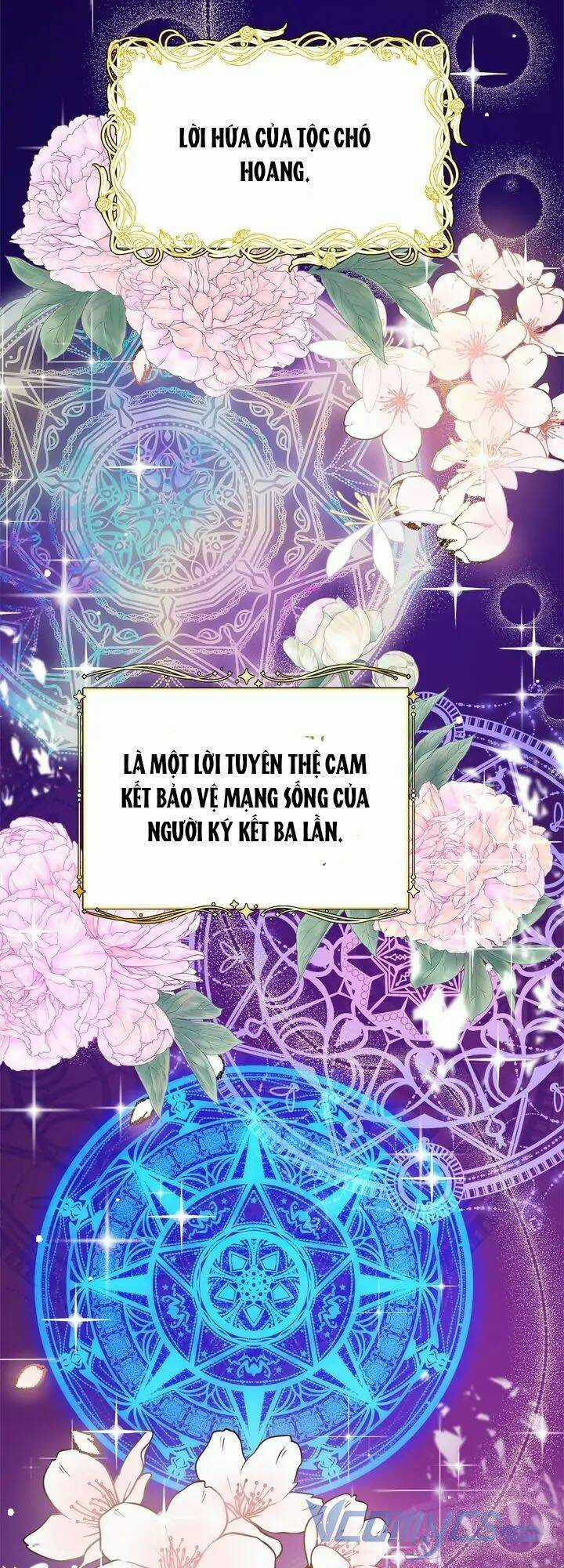 Du Khách Vào Ban Đêm Bí Ẩn Chapter 9 trang 23