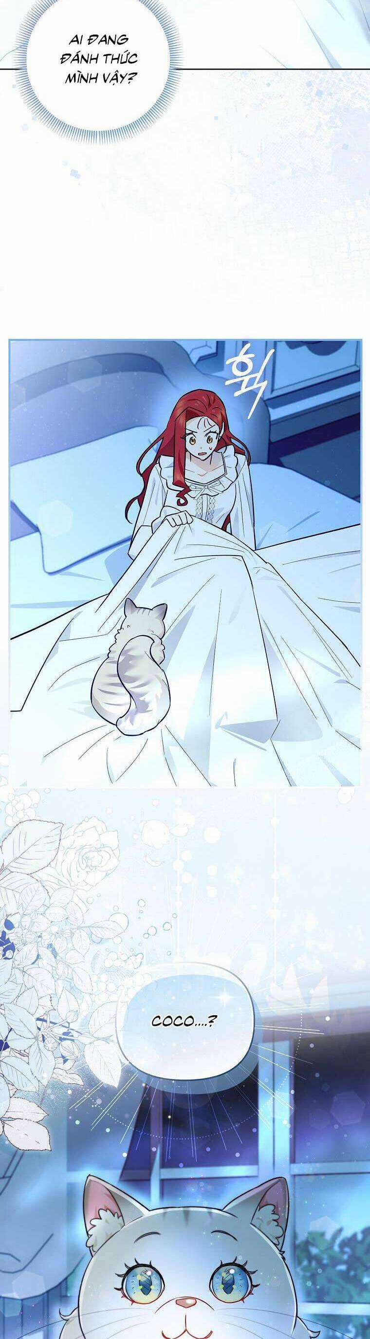 Dù Là Ác Nữ Nhưng Tôi Vẫn Phải Chăm Sóc Mèo Chapter 14 trang 20