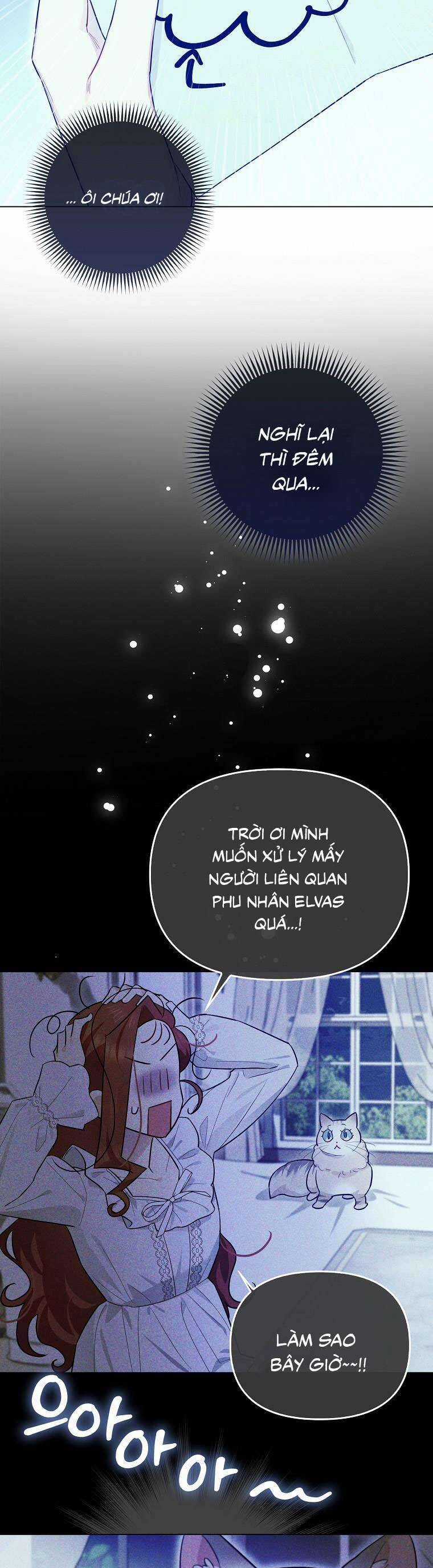 Dù Là Ác Nữ Nhưng Tôi Vẫn Phải Chăm Sóc Mèo Chapter 14 trang 24