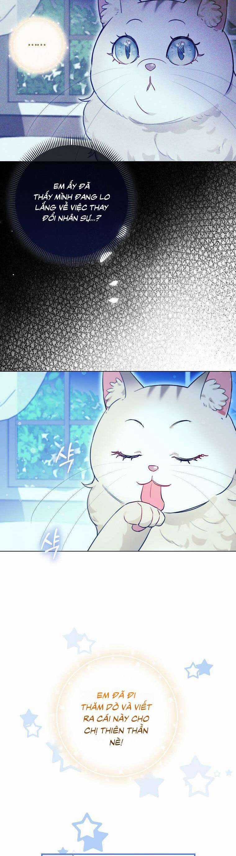 Dù Là Ác Nữ Nhưng Tôi Vẫn Phải Chăm Sóc Mèo Chapter 14 trang 25