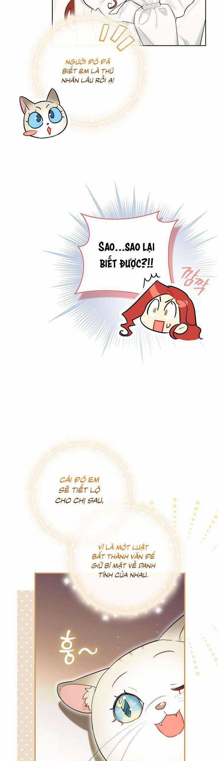 Dù Là Ác Nữ Nhưng Tôi Vẫn Phải Chăm Sóc Mèo Chapter 14 trang 40