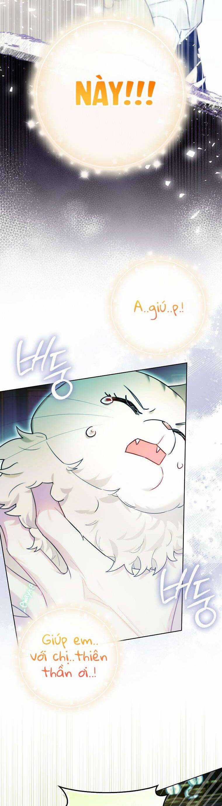 Dù Là Ác Nữ Nhưng Tôi Vẫn Phải Chăm Sóc Mèo Chapter 15 trang 3