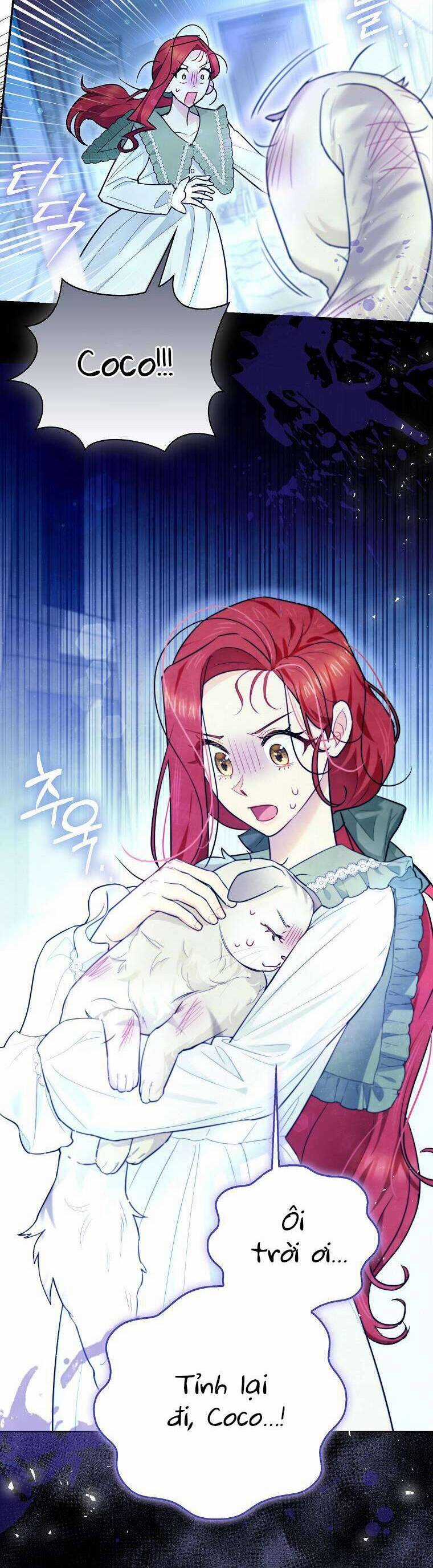 Dù Là Ác Nữ Nhưng Tôi Vẫn Phải Chăm Sóc Mèo Chapter 16 trang 2