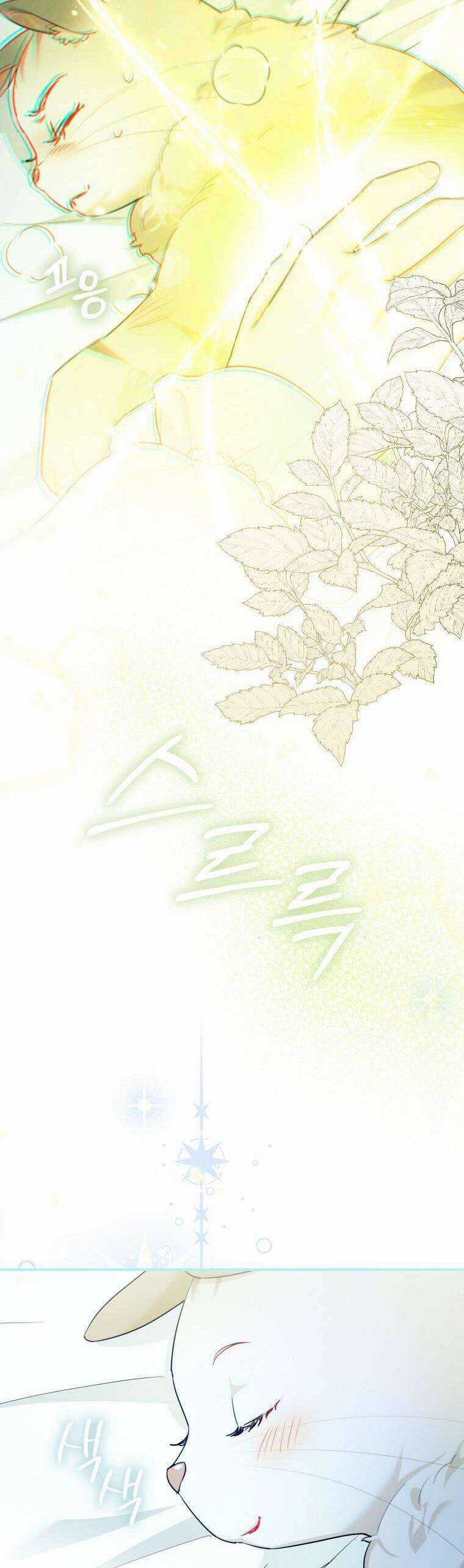 Dù Là Ác Nữ Nhưng Tôi Vẫn Phải Chăm Sóc Mèo Chapter 16 trang 8