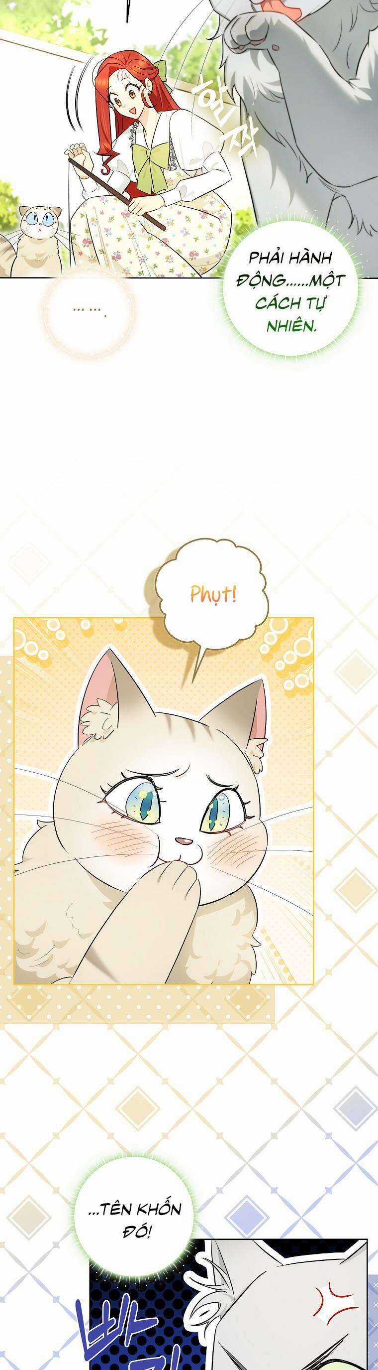 Dù Là Ác Nữ Nhưng Tôi Vẫn Phải Chăm Sóc Mèo Chapter 17 trang 25