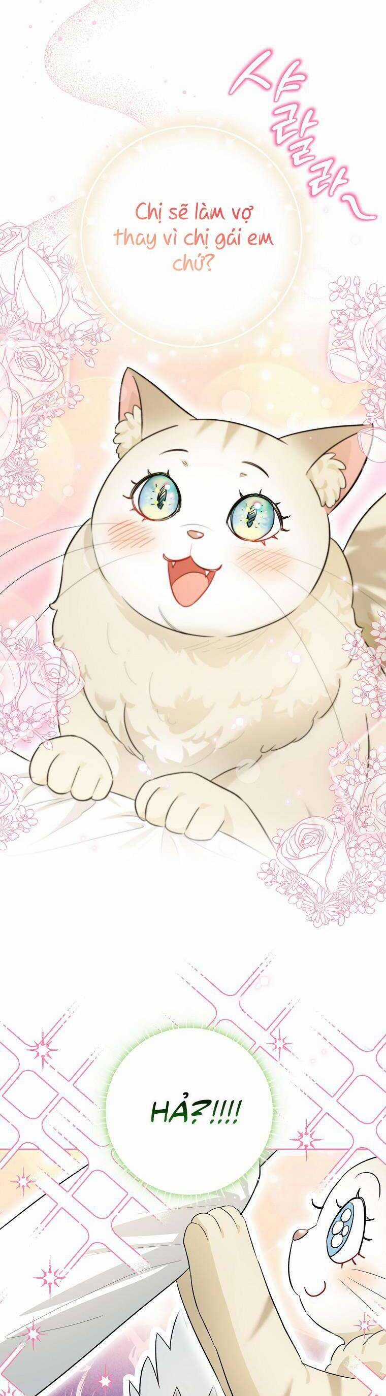Dù Là Ác Nữ Nhưng Tôi Vẫn Phải Chăm Sóc Mèo Chapter 17 trang 29