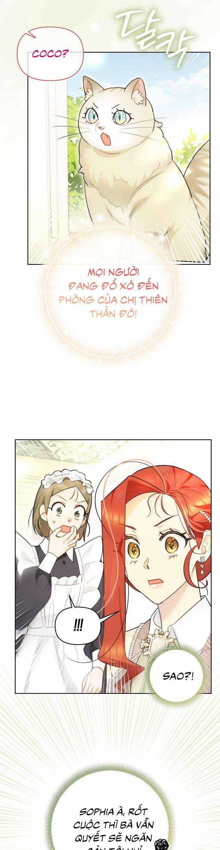 Dù Là Ác Nữ Nhưng Tôi Vẫn Phải Chăm Sóc Mèo Chapter 18 trang 17