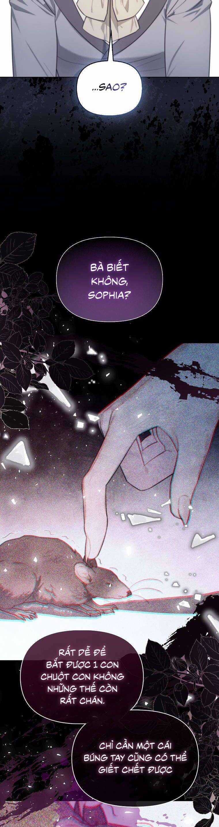 Dù Là Ác Nữ Nhưng Tôi Vẫn Phải Chăm Sóc Mèo Chapter 19 trang 8