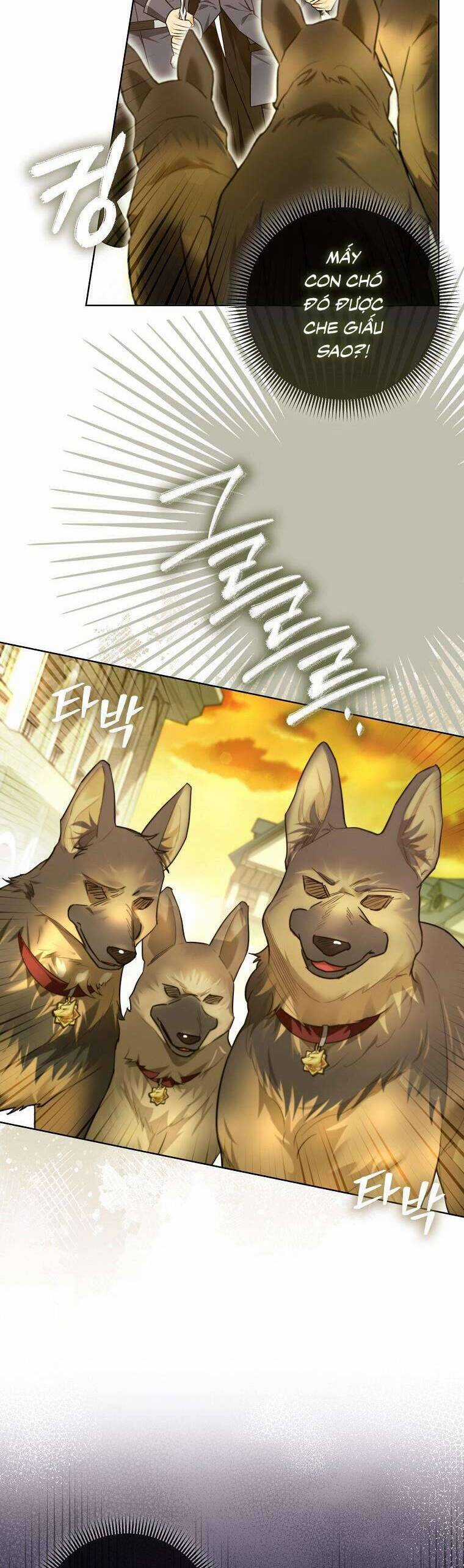 Dù Là Ác Nữ Nhưng Tôi Vẫn Phải Chăm Sóc Mèo Chapter 20 trang 28