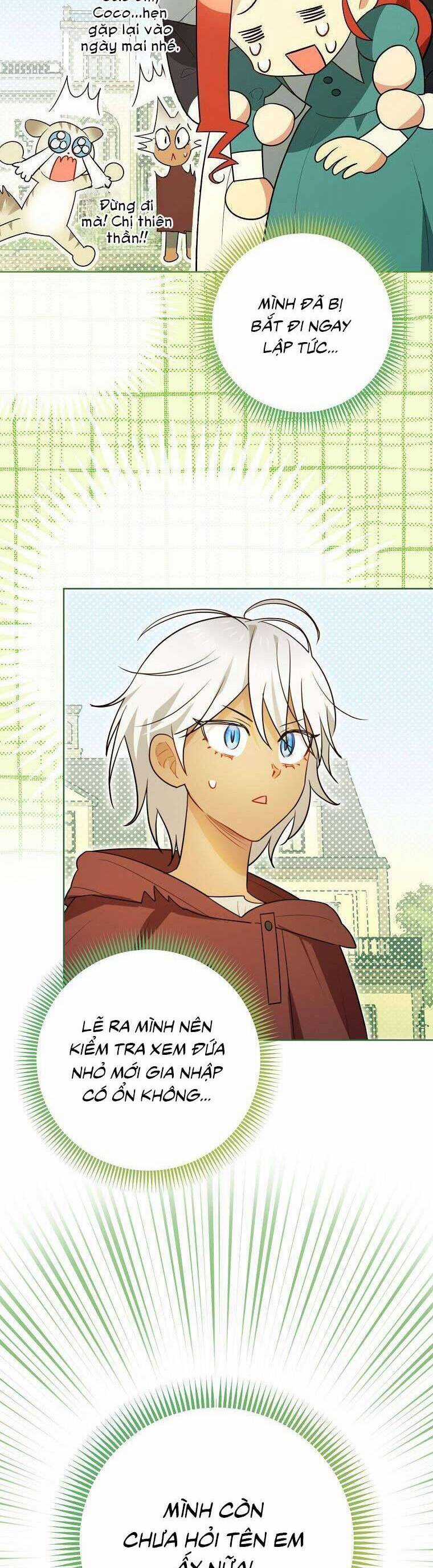 Dù Là Ác Nữ Nhưng Tôi Vẫn Phải Chăm Sóc Mèo Chapter 23 trang 29