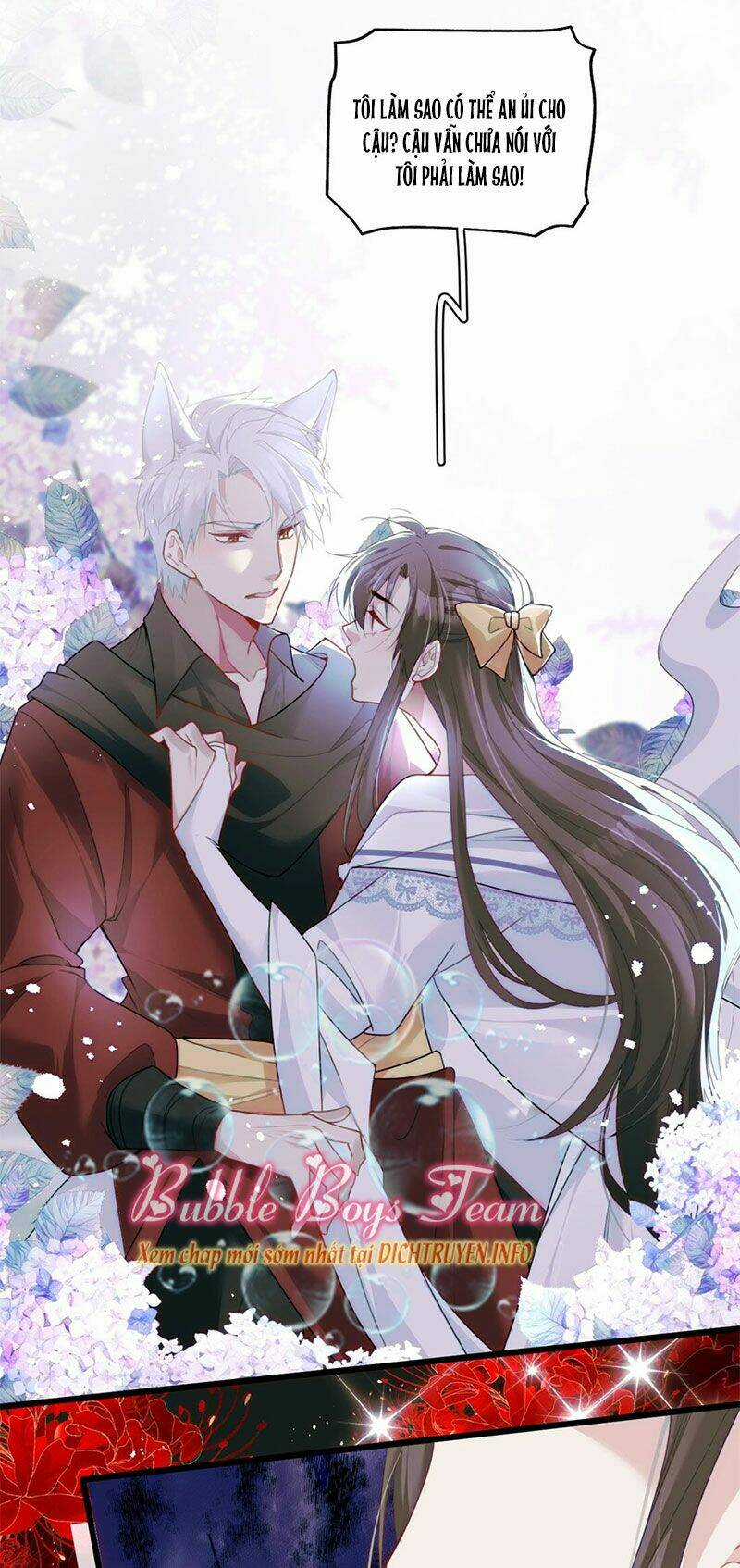 Dù Là Sói Cô Độc Cũng Có Tình Yêu Của Sẻ Nhỏ Chapter 32 trang 11