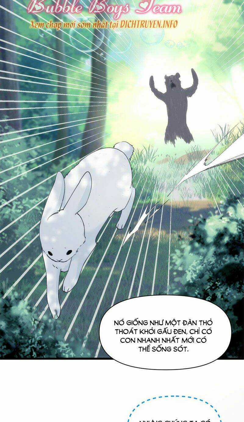 Dù Là Sói Cô Độc Cũng Có Tình Yêu Của Sẻ Nhỏ Chapter 35 trang 10