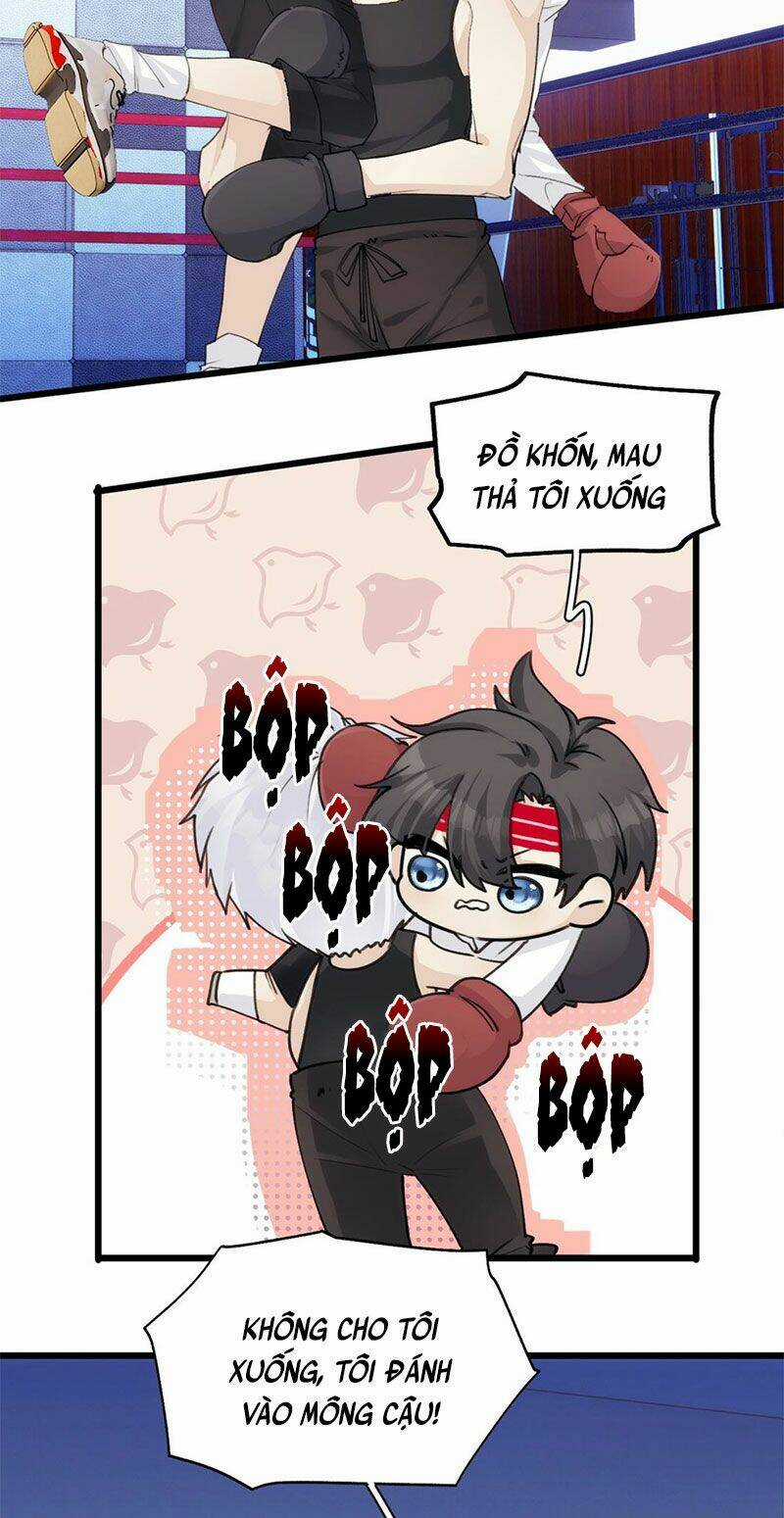 Dù Là Sói Cô Độc Cũng Có Tình Yêu Của Sẻ Nhỏ Chapter 38 trang 12