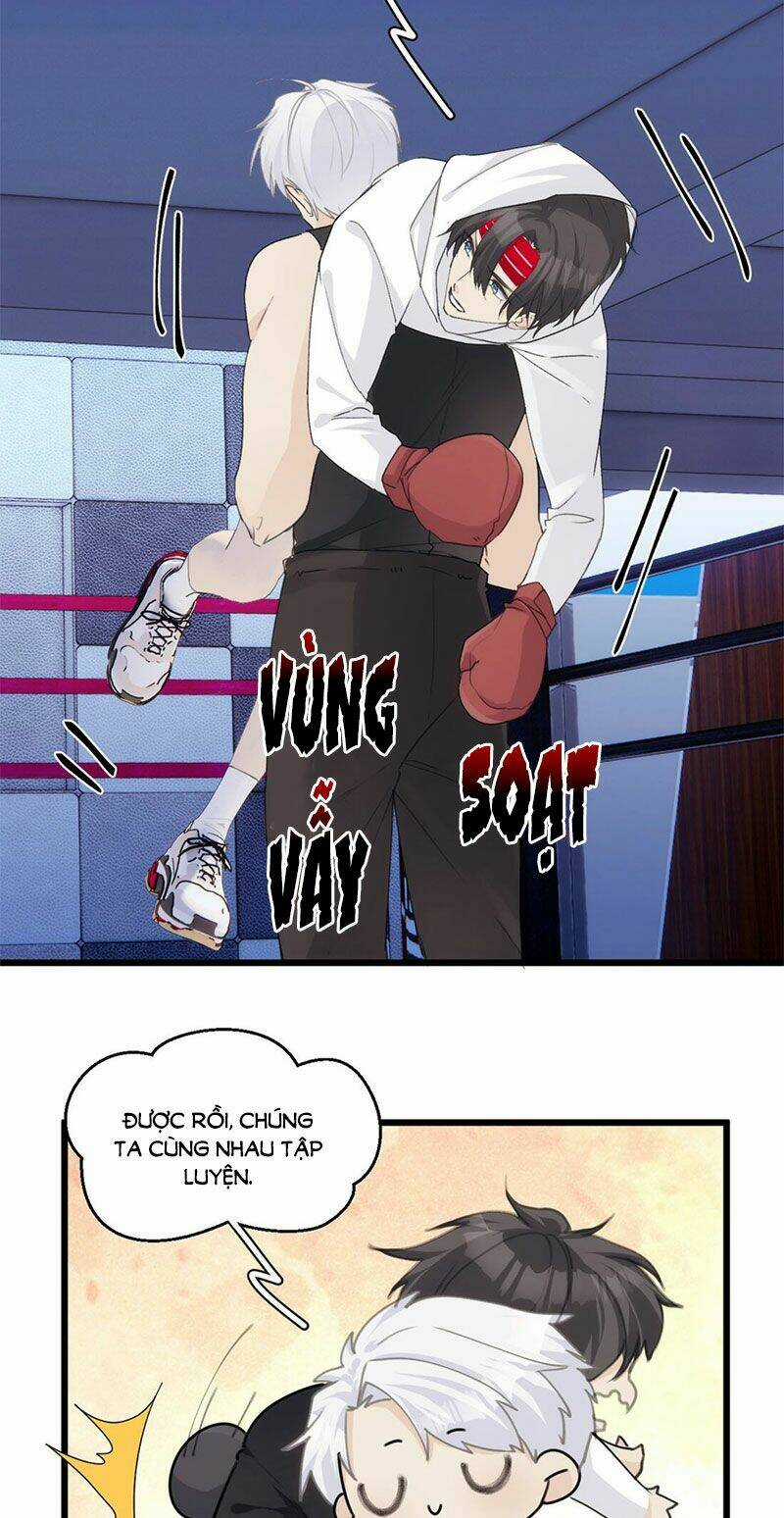 Dù Là Sói Cô Độc Cũng Có Tình Yêu Của Sẻ Nhỏ Chapter 38 trang 13