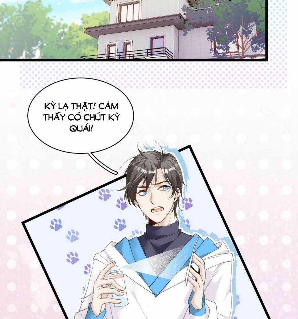 Dù Là Sói Cô Độc Cũng Có Tình Yêu Của Sẻ Nhỏ Chapter 5 trang 20