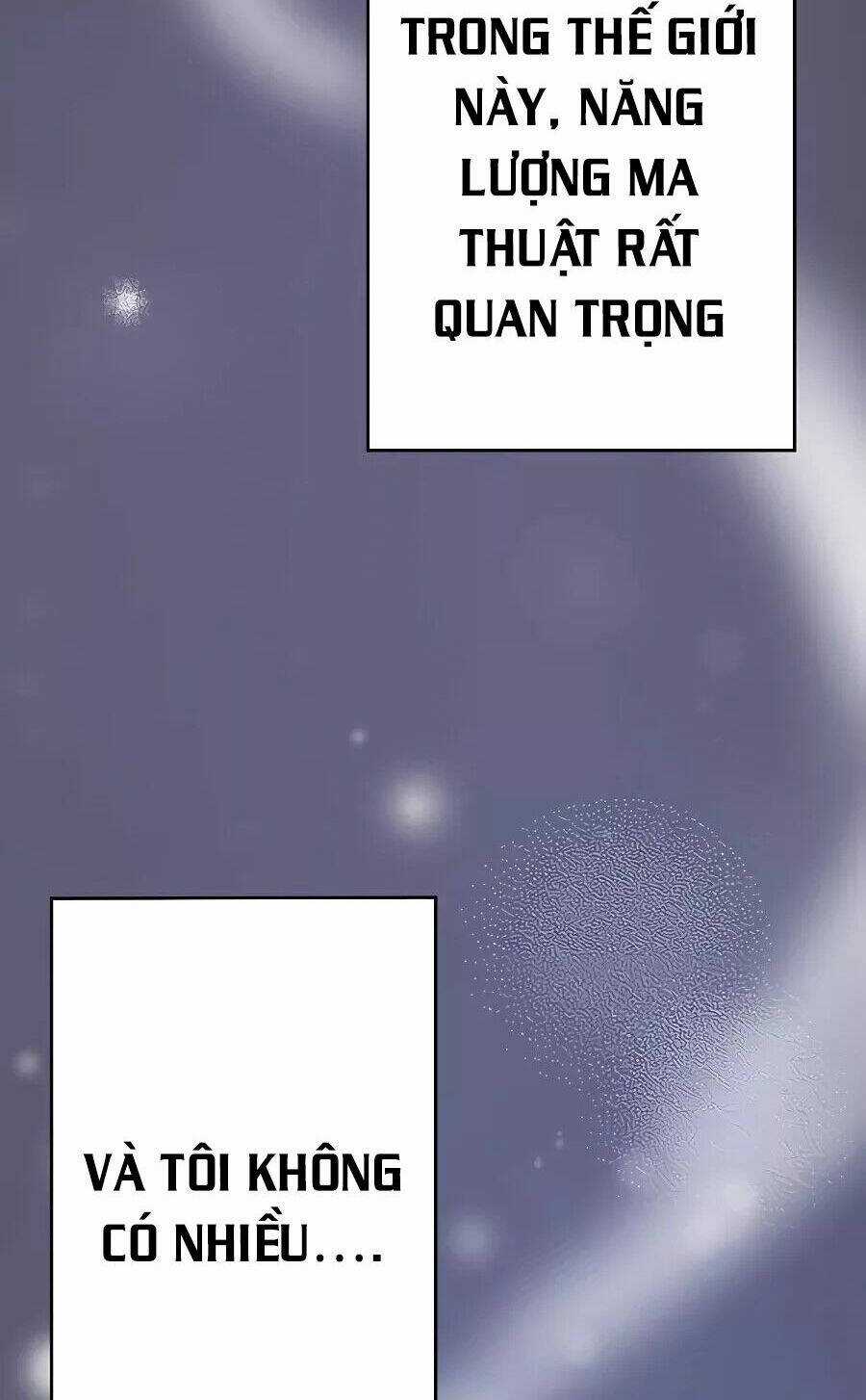 Dù Tôi Trở Thành Nhân Vật Phụ, Tôi Được Yêu Chiều Bởi Công Tước Thích Bảo Vệ Quá Mức Chapter 1.5 trang 3