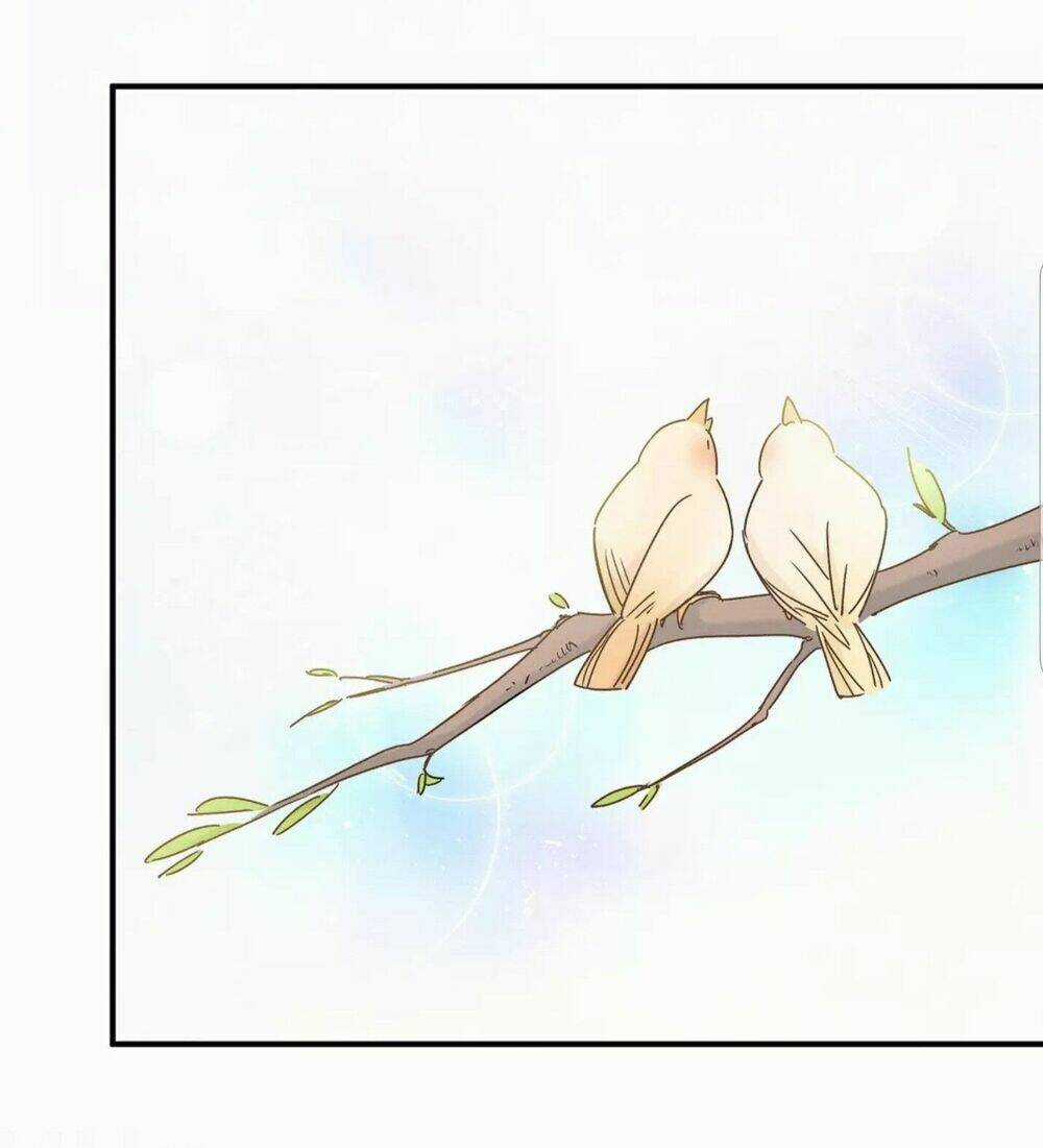 Đứa Bé Là Của Ai ???? Chapter 25 trang 20