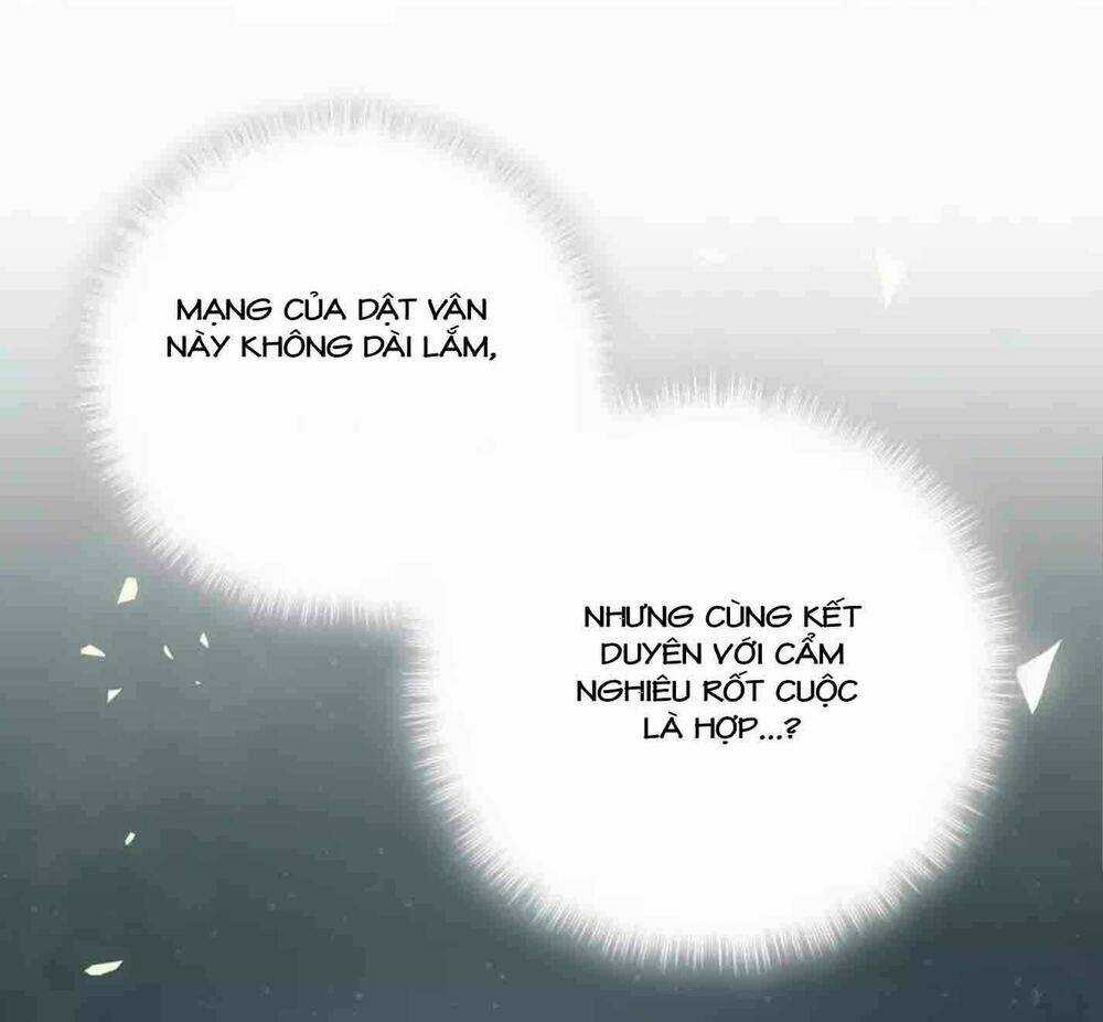Đứa Bé Là Của Ai ???? Chapter 29 trang 10